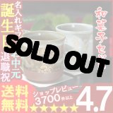 画像: 父の日 名入れ 名入れ 湯呑み 名入れ プレゼント ギフト 有田焼 有明・伊織ペア湯呑み＆詰合せSET(2013B)【名前入り・名入れ】【名入れ】【送料無料】【敬老】