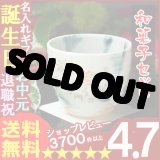 画像: 父の日 名入れ 名入れ 湯呑み 名入れ プレゼント ギフト 湯呑み 青しずく＆詰合せSET(2013A)【名前入り・名入れ】【名入れ】【送料無料】【敬老】